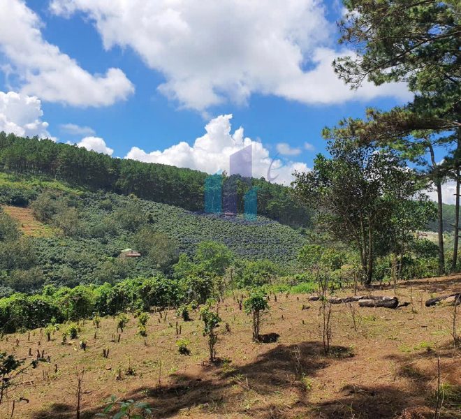 z7281380064590_4a84b614eaf6ed7cc2eae14af6cd1a7e