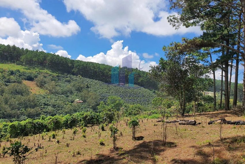 z7281380064590_4a84b614eaf6ed7cc2eae14af6cd1a7e