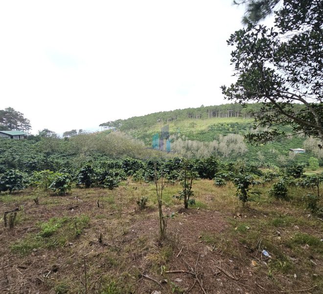 z7281380380671_c0cb2f8d6f3d02c2d90e8050082a9ce2