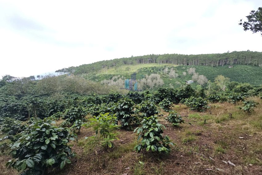 z7281380660135_42c983242ea049fa4a7c47d62e08f3eb