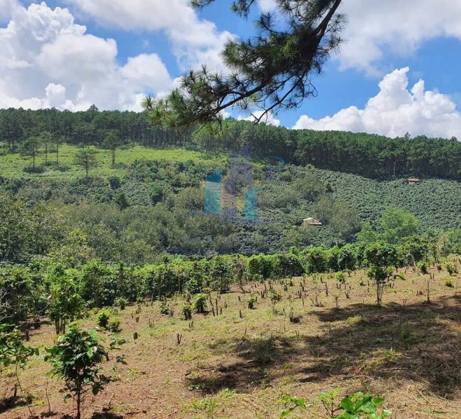 z7281380740384_c8f7e082a51aea6493f6190692d43be9