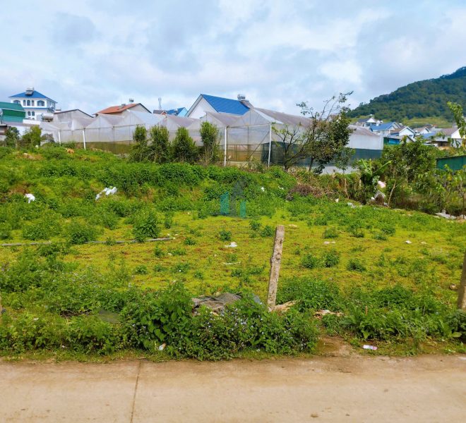 z7299087939705_43274707cdff8d87b37a3380668c4f5e