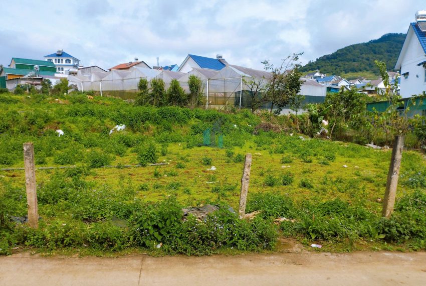 z7299087939705_43274707cdff8d87b37a3380668c4f5e