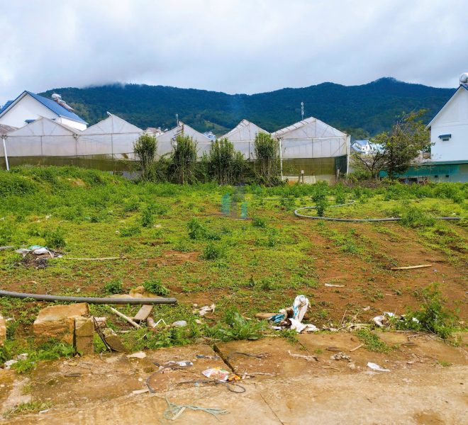 z7299087975495_ba5b1208df893b2b43dc4462801a7854