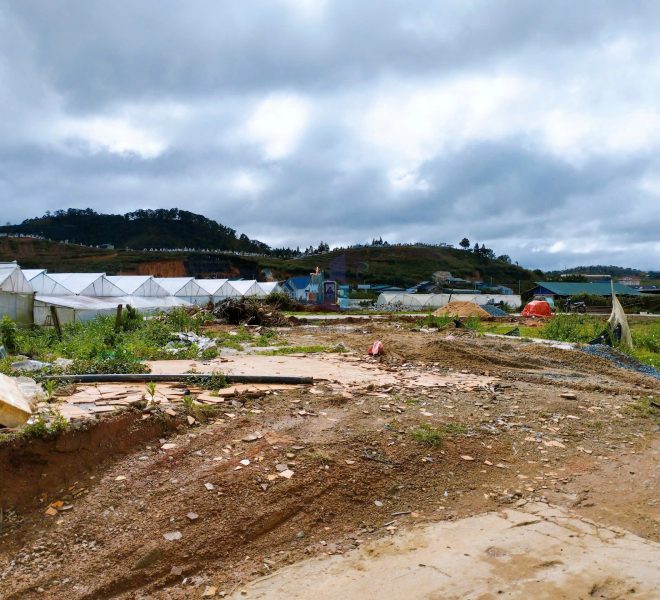 z7299089410014_886c018dd3bdc7a3554a8e35c51b36ff