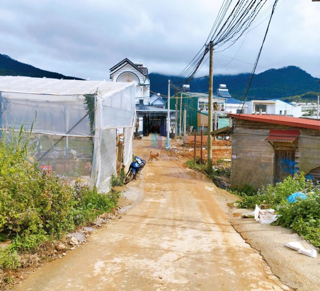 z7299089410016_c1a77eff29f102e20e2404a8371008b0