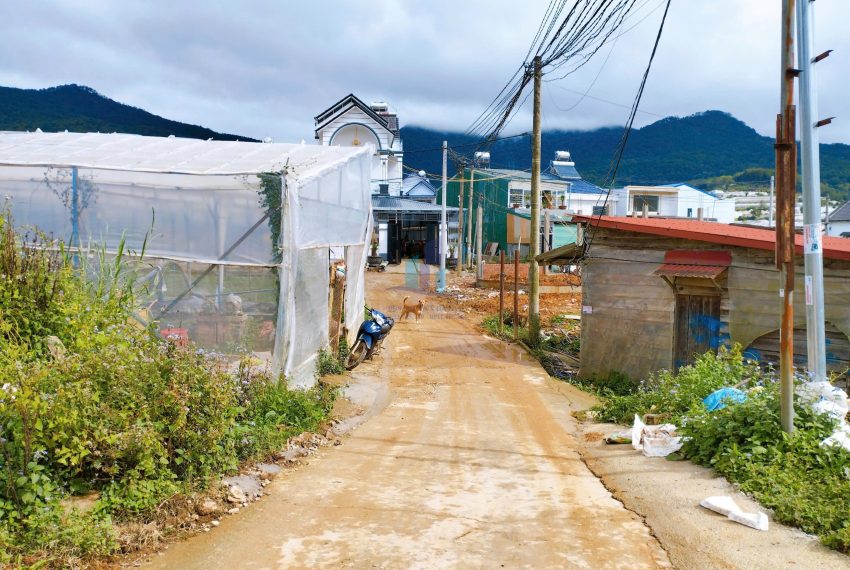 z7299089410016_c1a77eff29f102e20e2404a8371008b0