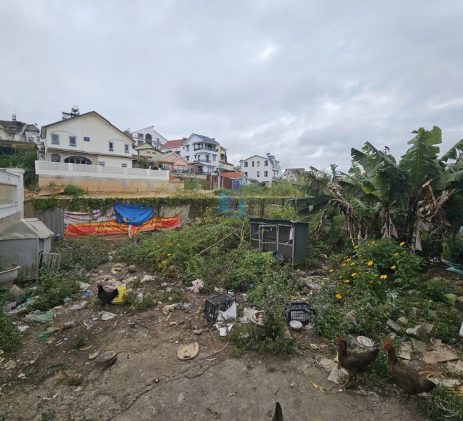 z7308841050394_b124bb2ad40246c3f75bcfe4b32b89b4