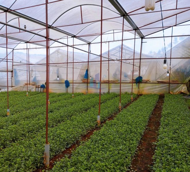 z7327481450987_dc36cab681f4ac4868f0625410d0e1fa