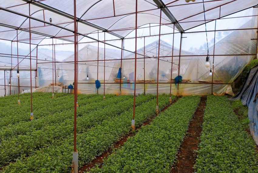 z7327481450987_dc36cab681f4ac4868f0625410d0e1fa