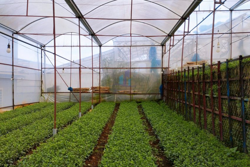 z7327481451793_c04a385acd013aa3e355ac1584d36f5b