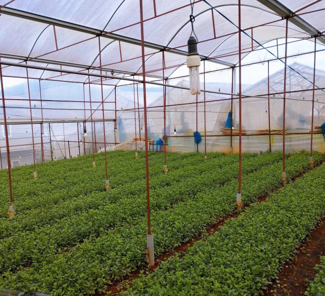 z7327481474251_b03668b7982bbfa20e6d9b964f6cf5c6