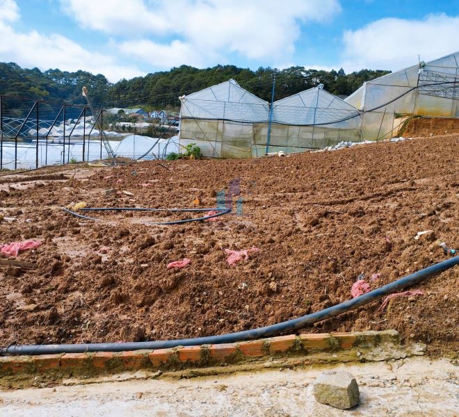 z7343691901578_d8e1636aba4db9052f1b950d04e8a972