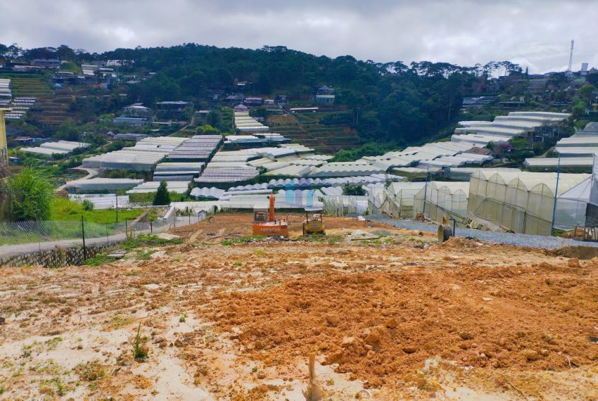 z7367842354215_af6207e583c9a4b818822caab3a8dbac