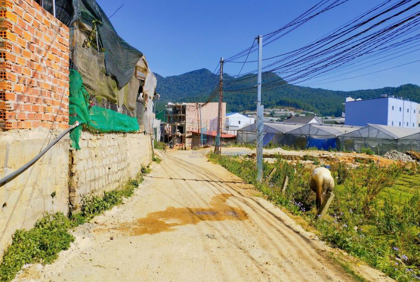 z7384589915405_229b102264db1779439716640dc81ecb