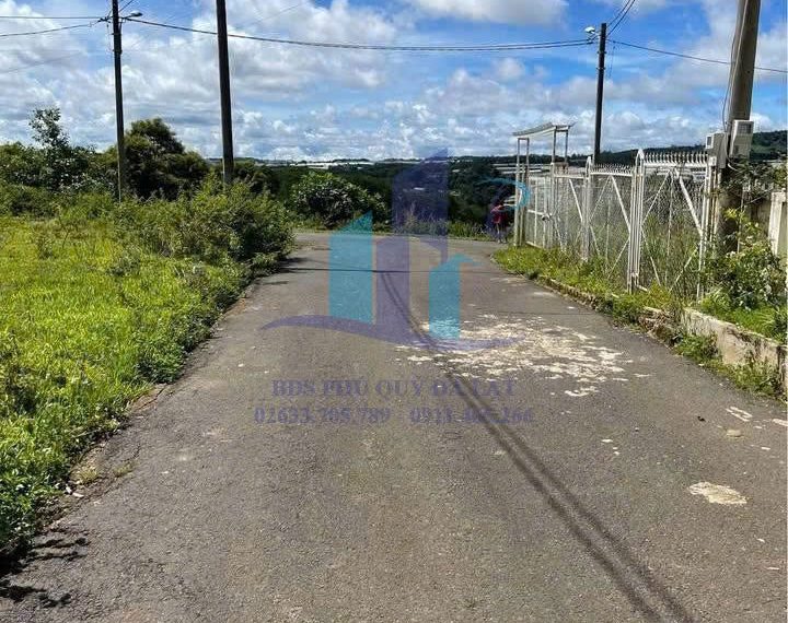 z7399832244998_14c286273a00dc27a86d7ed47cf17fd5