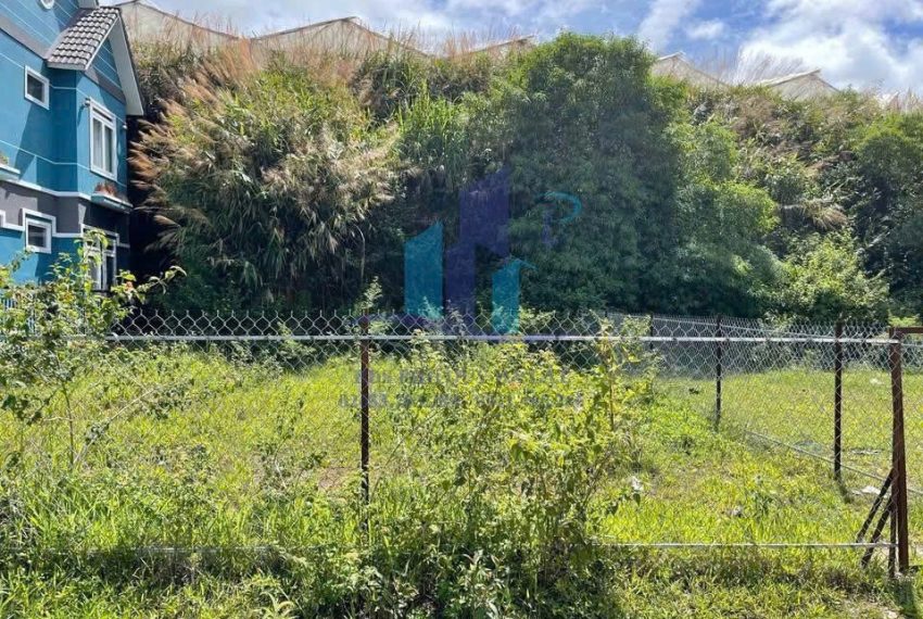 z7399832339986_b8d63b5dbe52d48ca387c044a29d20f1