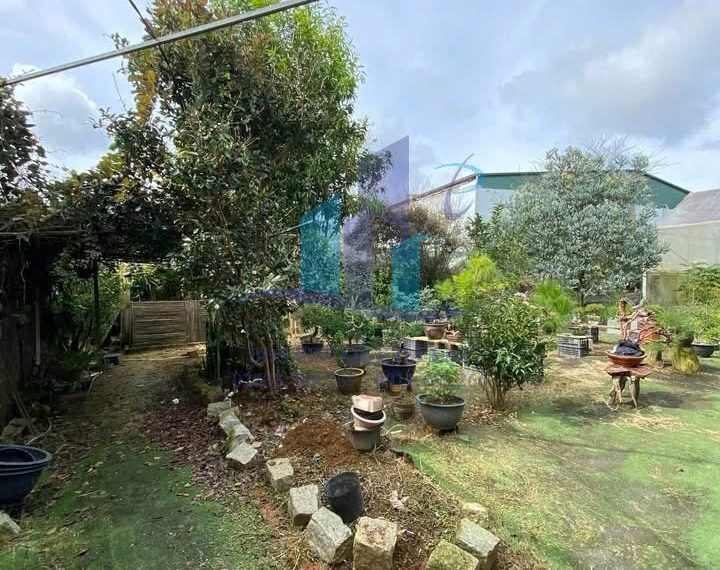 z7410243491371_d2a0872fadcc9a7ac3121fde5ac473b5