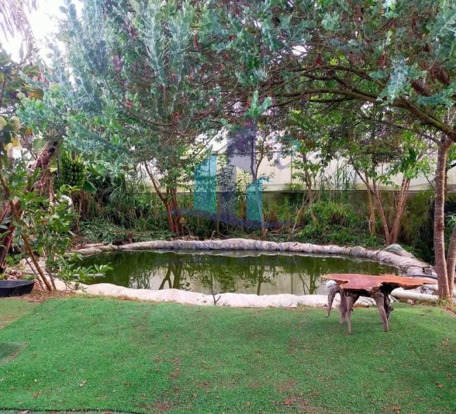 z7410243557938_3960c4d4ff5a403317eed79cc762a2fe