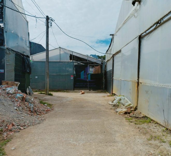 z7410243890603_d3fdbf414b5b29a88c1ce123e72f5378