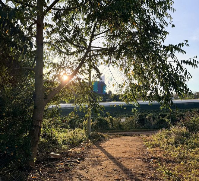 z7423382542377_c92345ec144110ba2c3b5cf94c262d4a