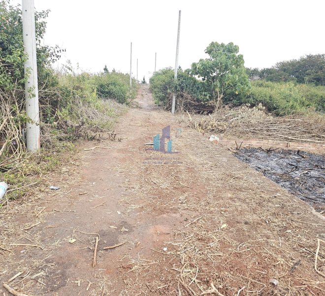 z7423382583785_5a914b5a5b9f567429f123c046e95417