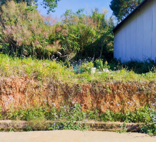 z7437199323191_26bfb14bc33f2e2eaa2e50d513c32722