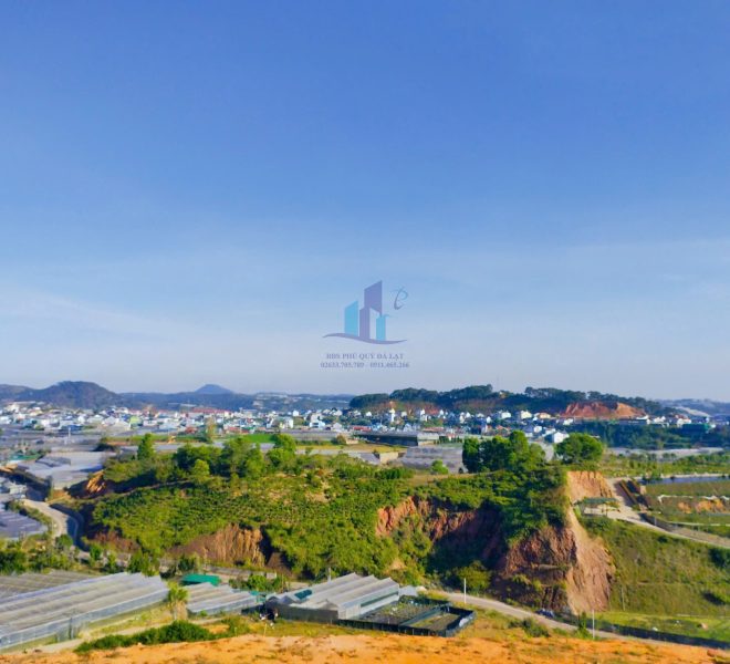 z7437202631483_0ac30627b7f7b881439bf8febd29c3a1