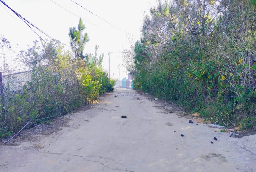 z7437202727374_b9abca86b026584ba446438d3c06534a