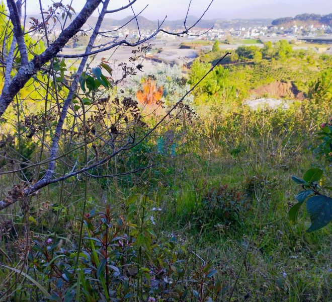 z7437202776795_e1c7625b3775b868fcb76b7c24e2c951