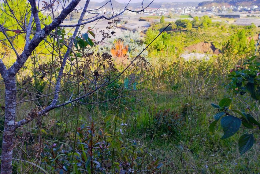 z7437202776795_e1c7625b3775b868fcb76b7c24e2c951