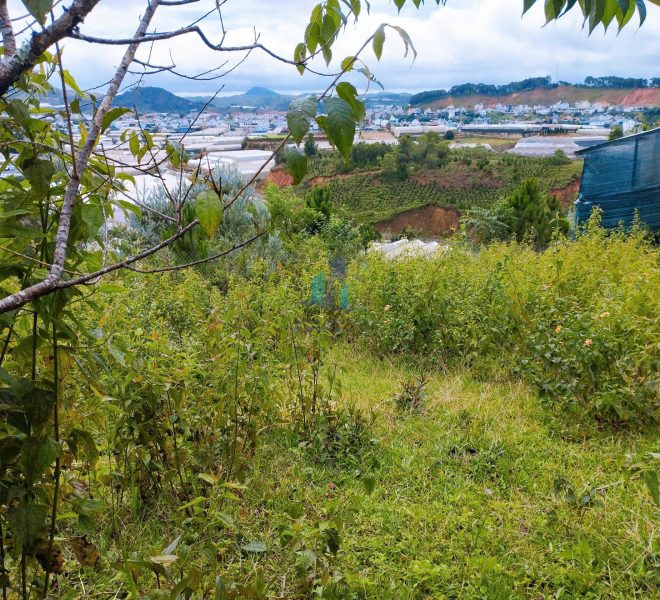 z7437202811930_ce8a6f7dc6cb783a1b14755b6527b45e