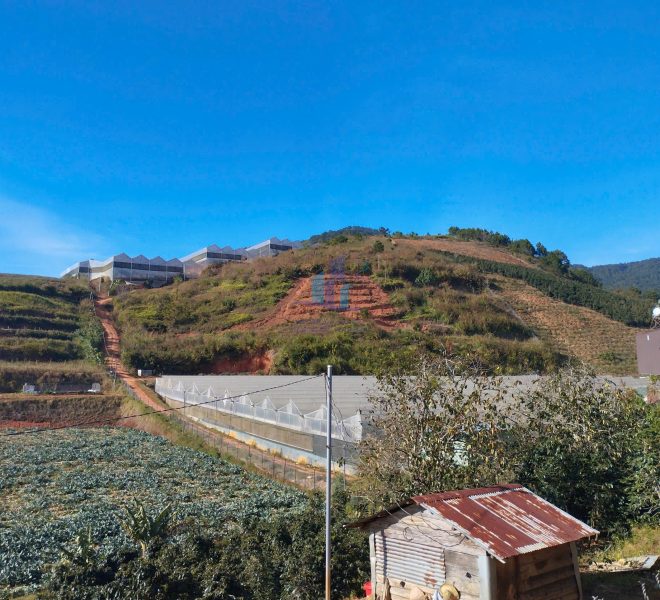 z7437213911483_09b178e0346b6b0e3a2c1c8ff23d44d1