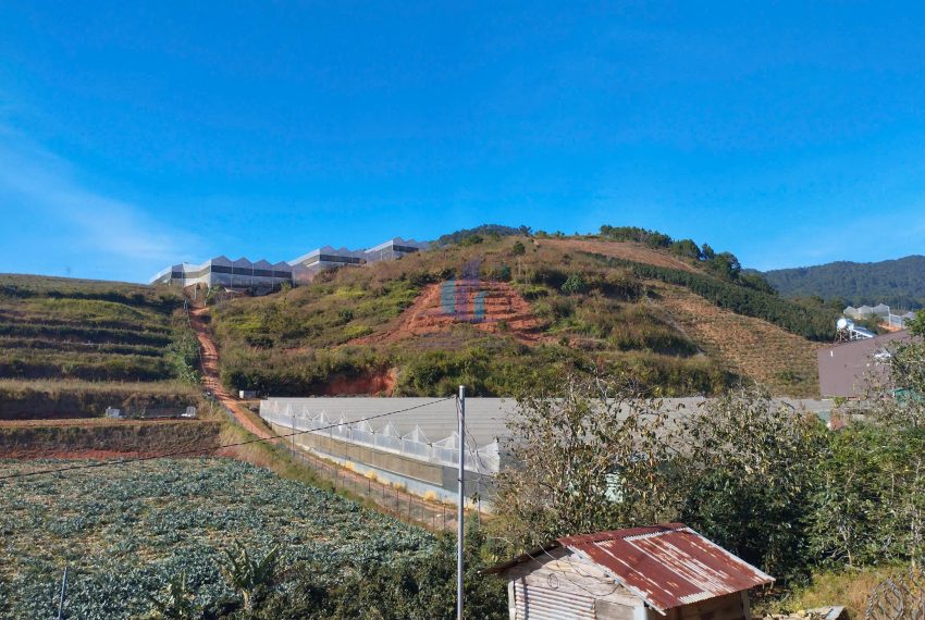 z7437213911483_09b178e0346b6b0e3a2c1c8ff23d44d1