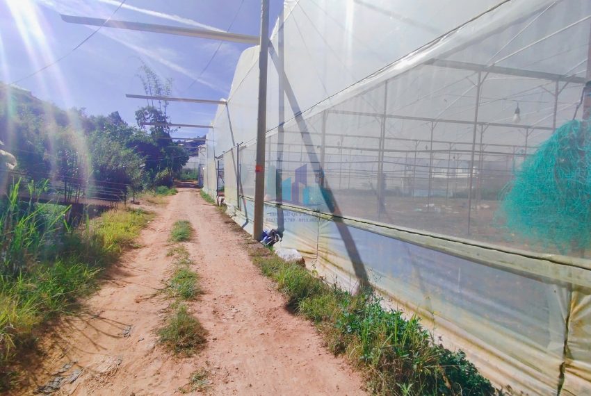 z7440553982115_c5c289ac4e3d0a9875cf14765bf70f7b