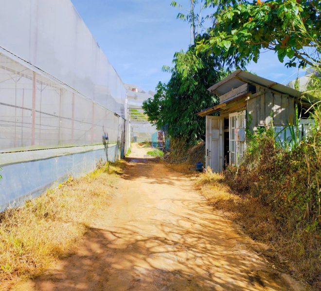 z7440554212290_0a1647c4e35d7a403a090eaec7f49659