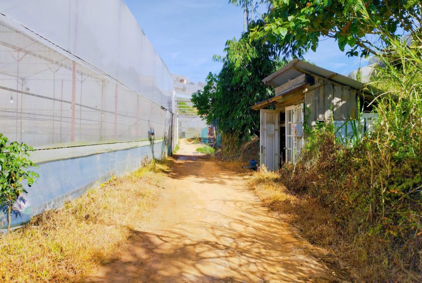 z7440554212290_0a1647c4e35d7a403a090eaec7f49659