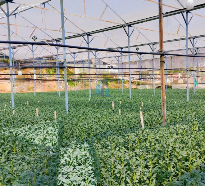 z7440554318676_b905385e8b7e3cdab671a4f031dcf2ff