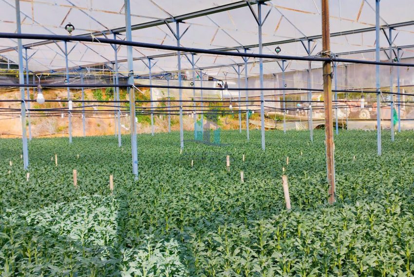 z7440554318676_b905385e8b7e3cdab671a4f031dcf2ff