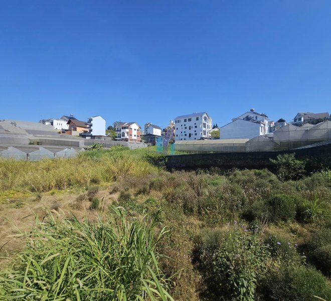 z7446763578172_872c5f50f8d690301dc6d0c8044c1abf