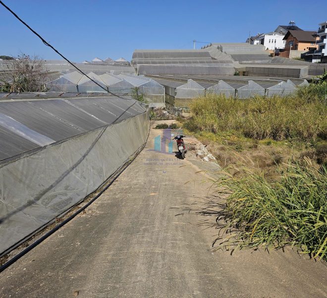 z7446763727106_797b6305bb37acf983cbde9d49ff6a24