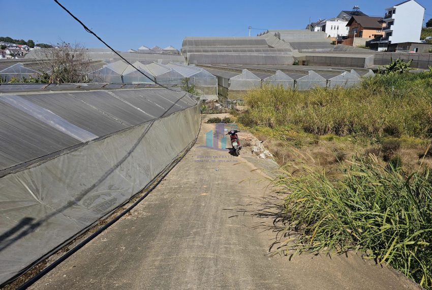 z7446763727106_797b6305bb37acf983cbde9d49ff6a24