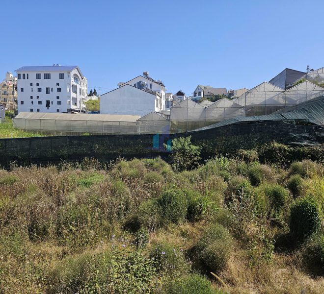 z7446763788382_1acb8eba2a2f0d35f7618e258dfaaaad