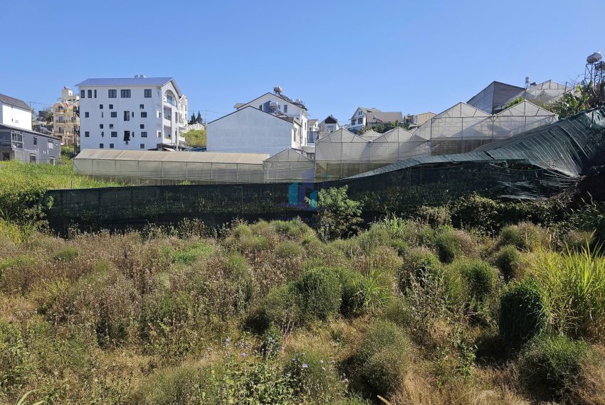 z7446763788382_1acb8eba2a2f0d35f7618e258dfaaaad