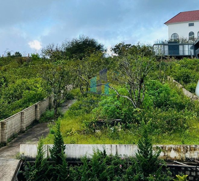 z7453772602942_e15ff0a12b2fad6d2eff23e42fec72f1