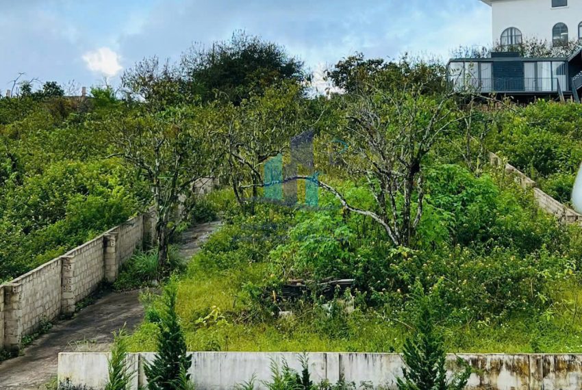 z7453772602942_e15ff0a12b2fad6d2eff23e42fec72f1