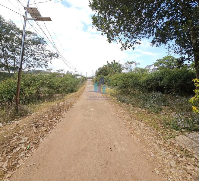 z7453772654691_4160fade7561cdf7902a5890116376e8