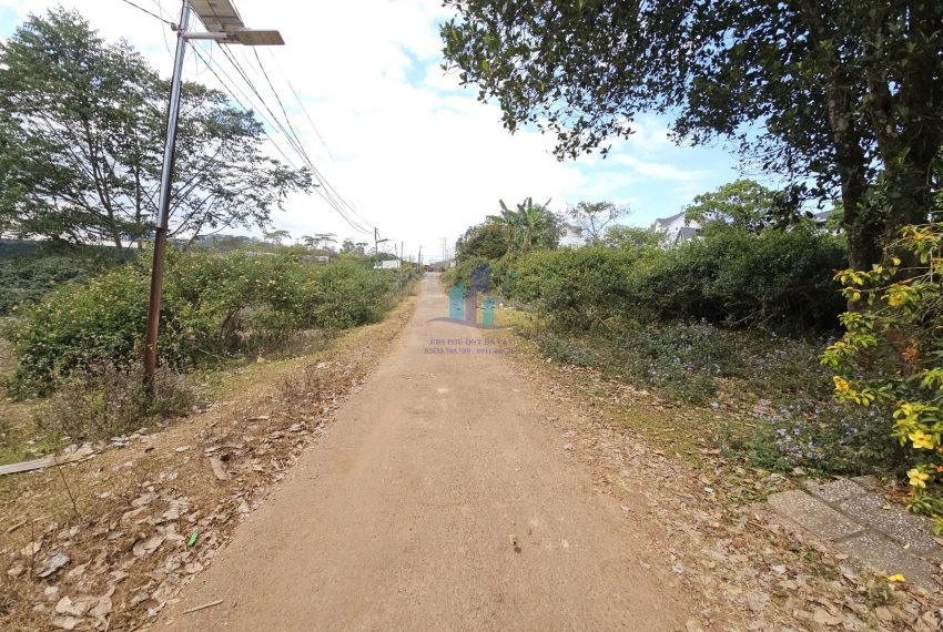 z7453772654691_4160fade7561cdf7902a5890116376e8