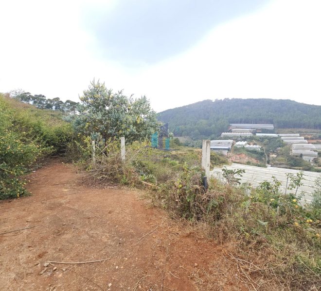 z7500812275701_510ef73e3b4976c4db4feb634e3a63c2