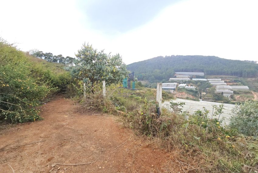 z7500812275701_510ef73e3b4976c4db4feb634e3a63c2